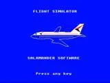 737 Flight Simulator (19xx)(Salamander)[h TSTH][E00DFS]